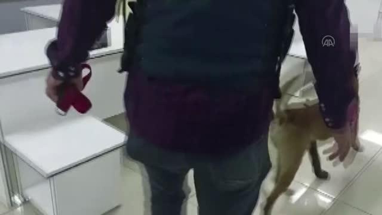 ÇANAKKALE - Jandarma operasyonunda 12 ruhsatsız tabanca ele geçirildi