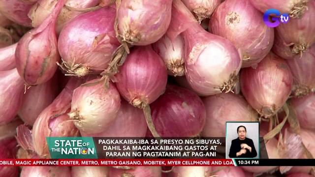 Pagkakaiba-iba ng sibuyas, dahil sa magkakaibang gastos at paraan ng pagtatanim at pag-ani | SONA