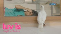 Luv Is: Finding the mystery dove sender (Episode 4) | Caught In His Arms