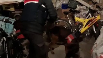 KASTAMONU - Uyuşturucu operasyonlarında 2 zanlı yakalandı