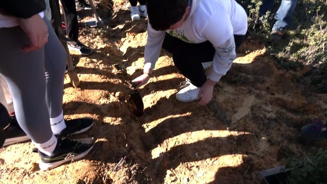 Escolares de Moguer participan en la reforestación de una zona afectada por el incendio de 2017