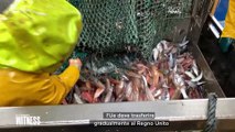La lenta agonia dell'industria della pesca in Irlanda
