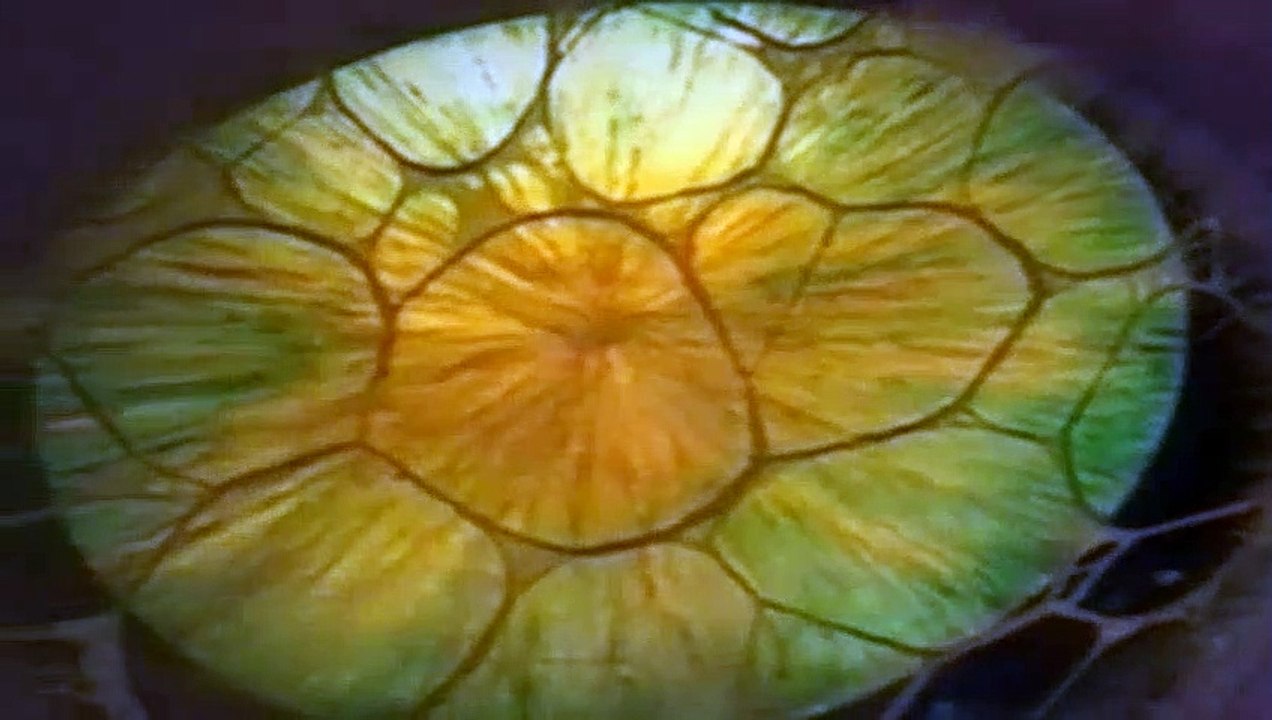 Doctor Who S08E13 The Claws Of Axos Pt 3 (1963–1989)