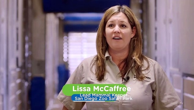 Even The Biggest Babies Need Bottle Feeding Too!