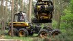 Paper Machines - How a Tree Trunk Becomes a Roll of Toilet Paper