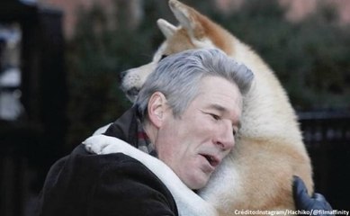Pelicula | HACHIKO | Richard Gere | 2009 | Drama |1 Hr 33 min | Azteca