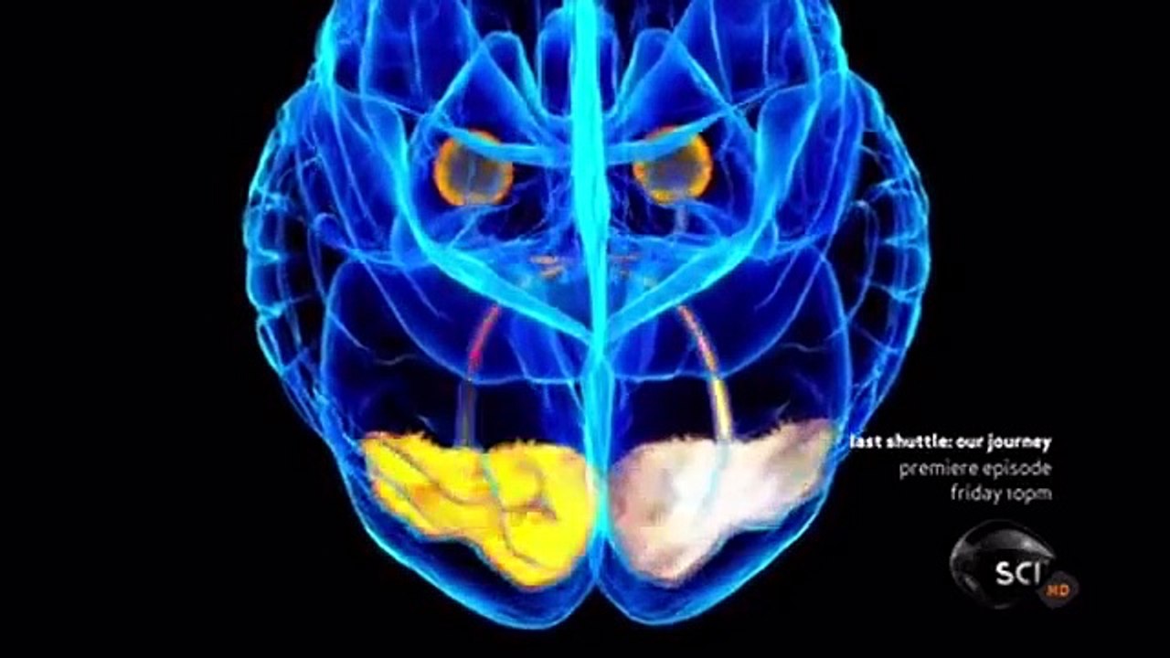 Through the Wormhole - Se2 - Ep05 HD Watch