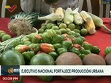 Gobierno Nacional fortalece la agricultura urbana y encadenamiento productivo en el estado Zulia
