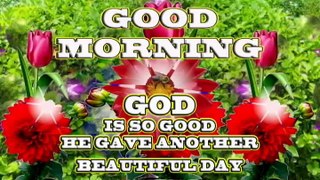 Good Morning video wishes | GOD is so good he gave another beautiful day | Morning greetings | Morning messages | SMS | sms
