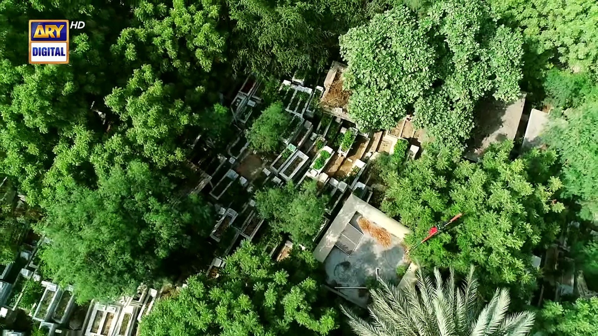 Samjhota Episode 4 - 19th January 2023 - ARY Digital Drama