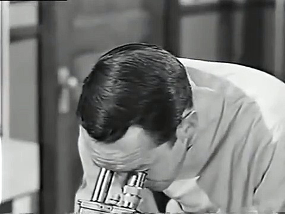 Sea Hunt - Se3 - Ep34 HD Watch