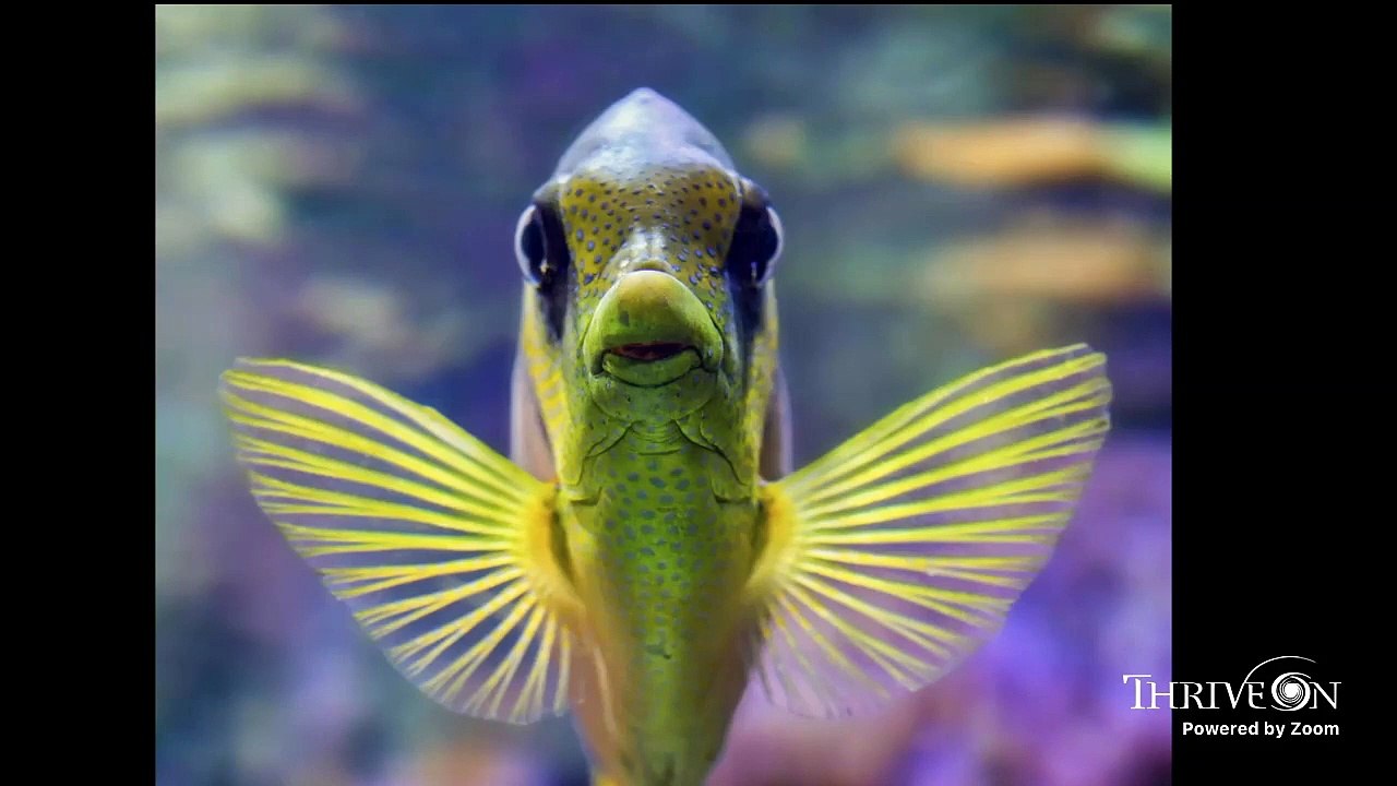 How Have We Arrived at our Worldviews...and Why Do They Matter?