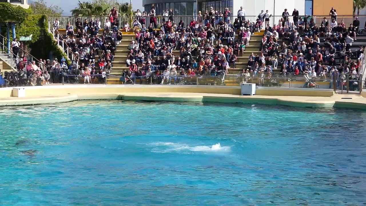 Les Animaux du parc de Marineland à Antibes
