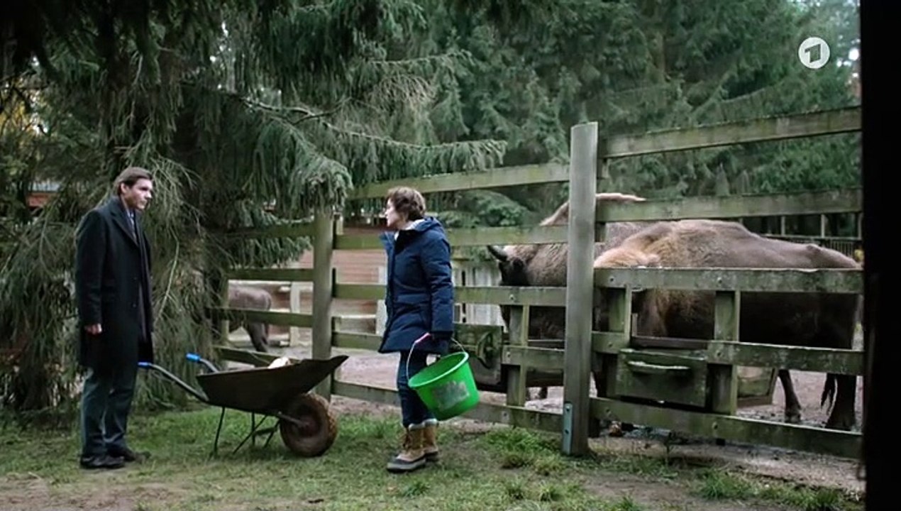 Der Usedom-Krimi Staffel 1 Folge 12