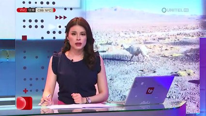 La Paz: Más de 15 mil cabezas de ganado murieron en Cairoma por la sequía  