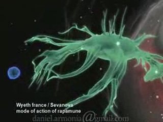 daniel armonia Demoreel 02 rapamune