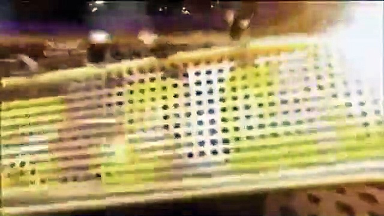 Celebrity Name Game - Se1 - Ep10 HD Watch