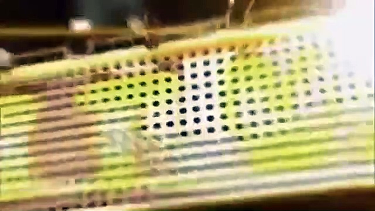 Celebrity Name Game - Se1 - Ep12 HD Watch