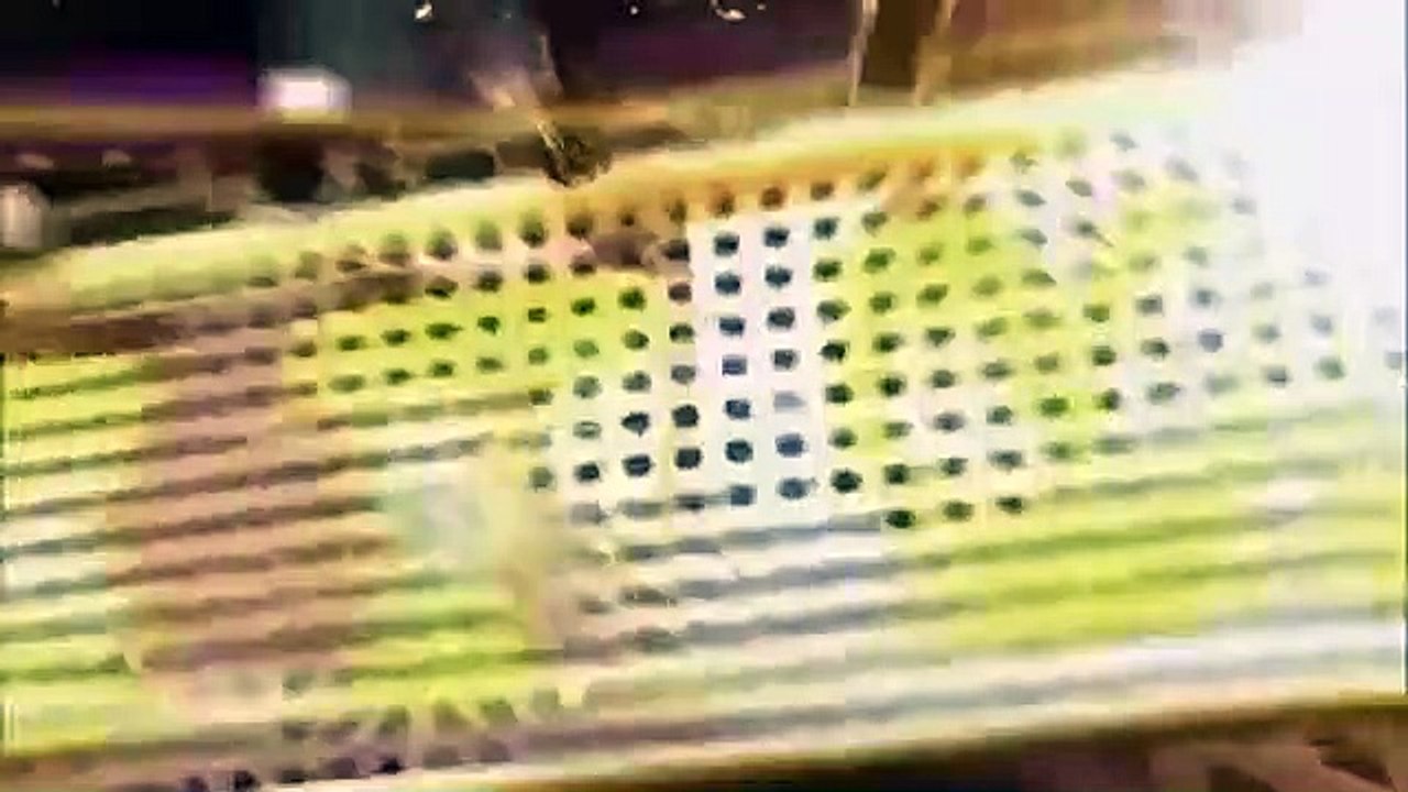 Celebrity Name Game - Se1 - Ep14 HD Watch