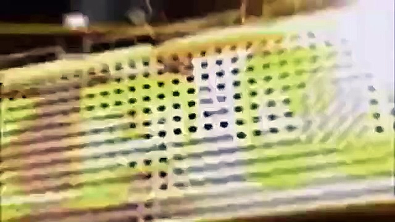 Celebrity Name Game - Se1 - Ep20 HD Watch