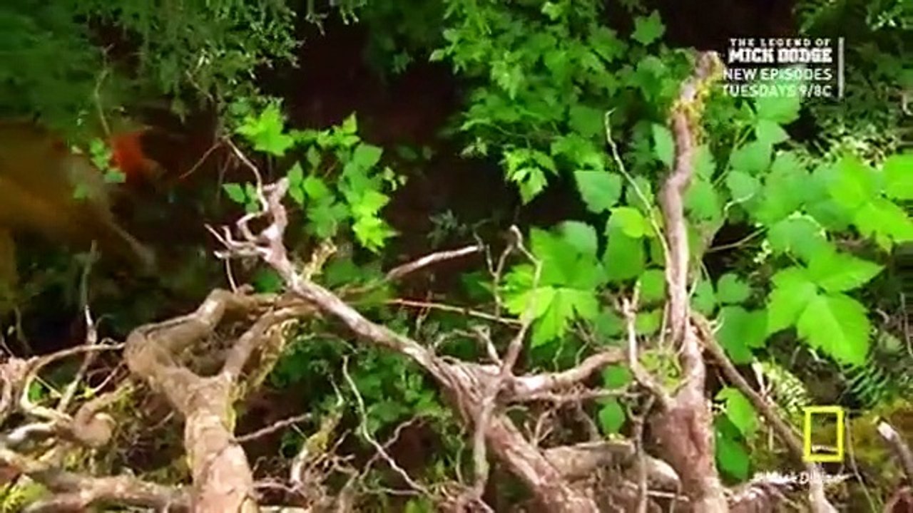 The Legend Of Mick Dodge - Se2 - Ep15 HD Watch