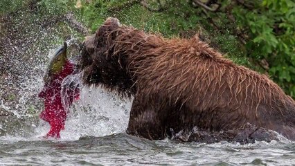 Tales by Light - Se1 - Ep04 - Wild HD Watch