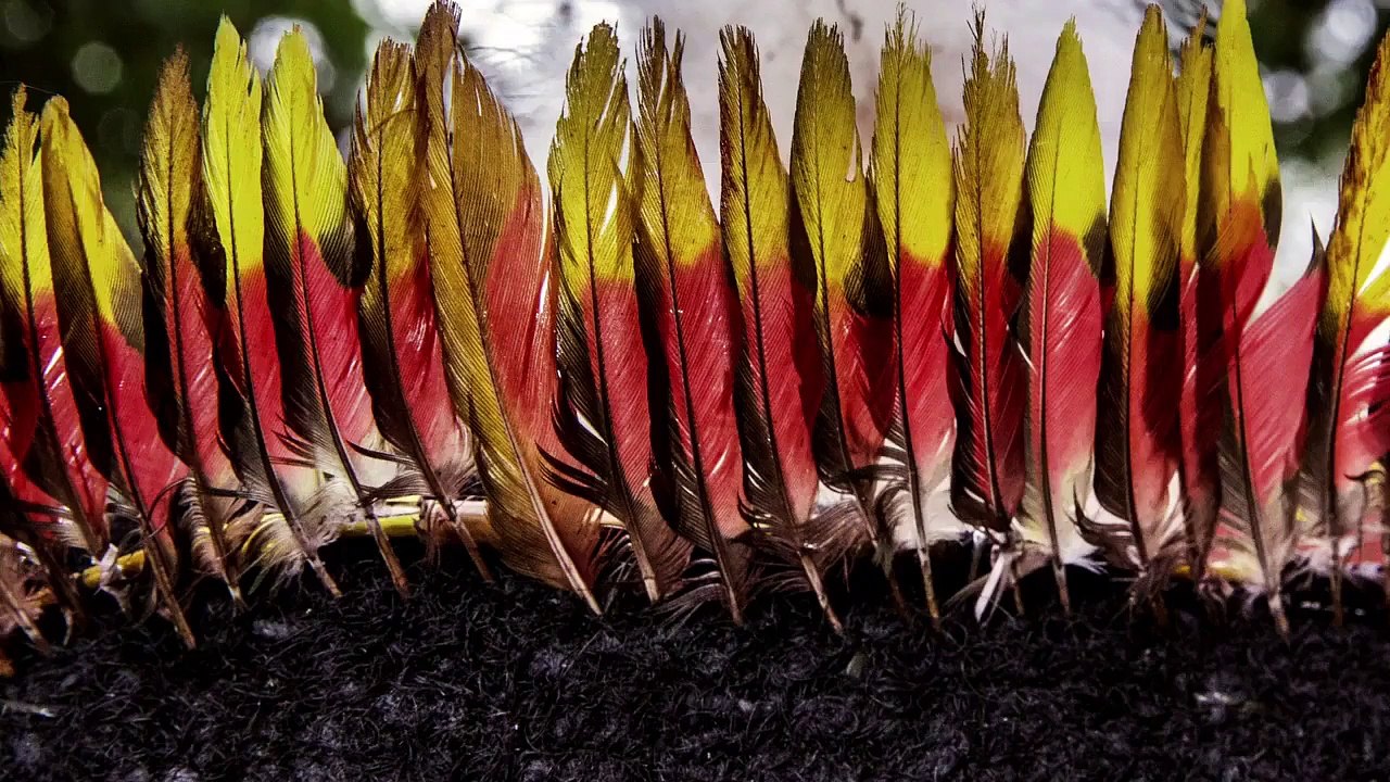 Tales by Light - Se1 - Ep06 - Panorama HD Watch