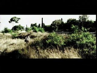 Tres monos - Tráiler español