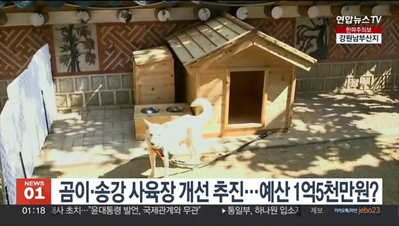 곰이·송강 사육장 개선 추진…예산 1억5천만원?