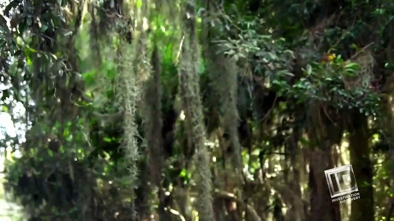 Swamp Mur-'ders - Se4 - Ep07 - In Too Deep HD Watch
