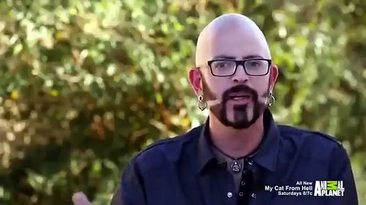 My cat from hell - se9 - ep05 - kitten impossible - roadtrip rescue hd watch