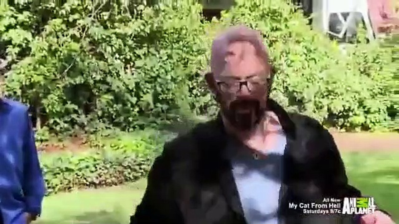 My Cat from Hell - Se9 - Ep07 - Jekyll And Hyde Cat HD Watch