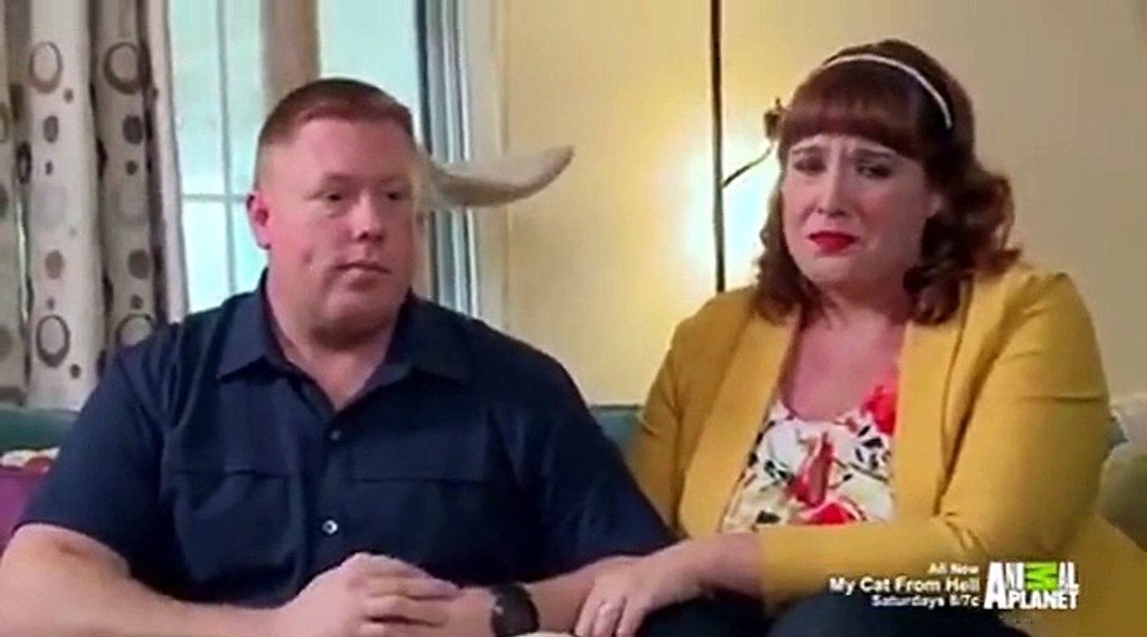 My Cat from Hell - Se9 - Ep09 - Bully Cat HD Watch