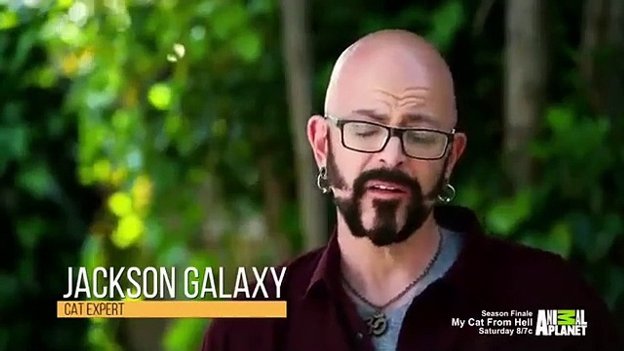 My Cat from Hell - Se9 - Ep11 - Good Kitty, Bad Kitty HD Watch