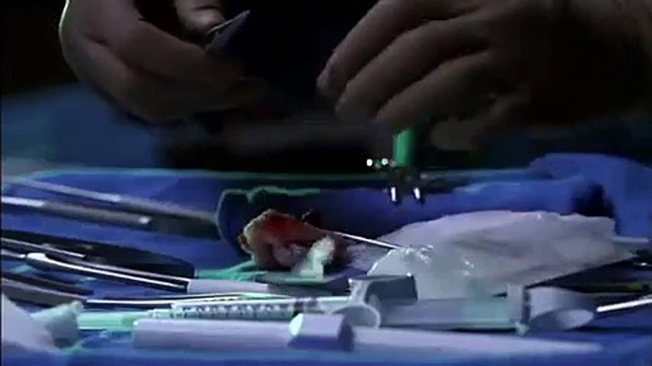 Nip-Tuck - Se1 - Ep05 HD Watch