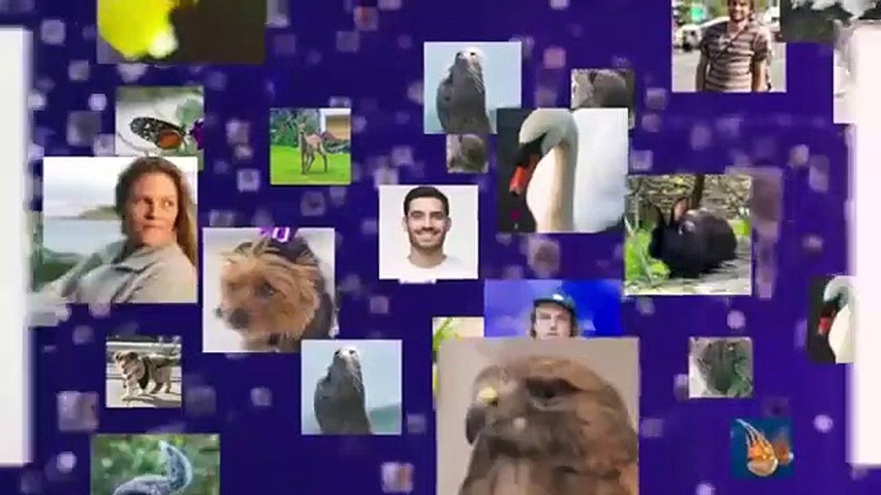 The Age of A.I. - Se1 - Ep07 HD Watch