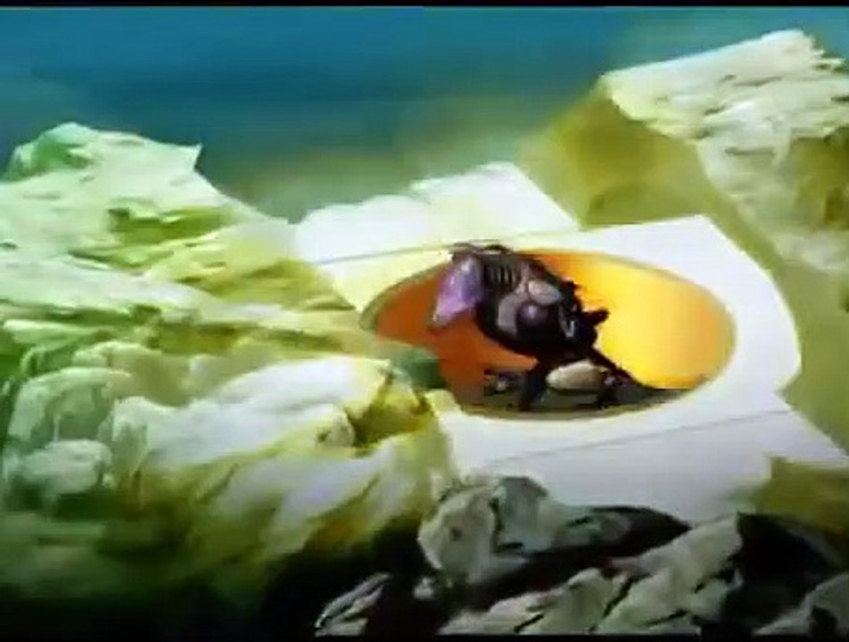 Squirrel and Hedgehog - Ep31 HD Watch