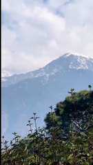 Rakkar khaniyara | Dharamshala Guide