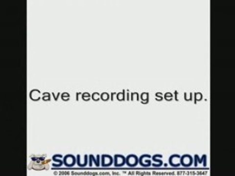 Rob Nokes - Recording the Kopeka Bird of Cook Islands