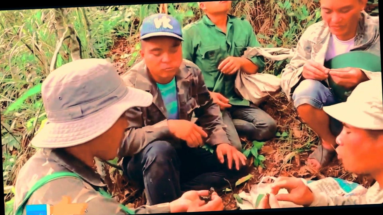 Survival skills primitive: Eating Cooking bucks finding in the forest .5