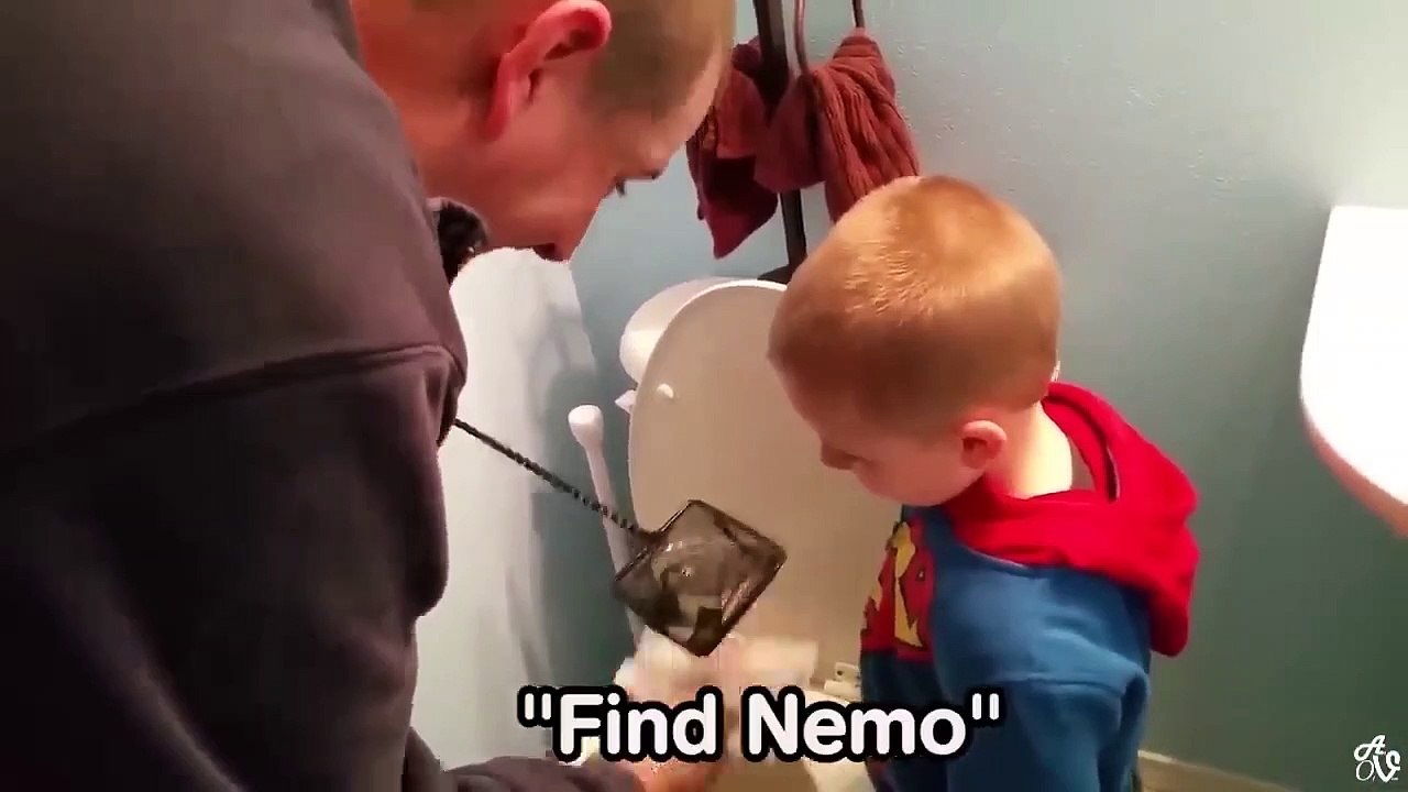 Try Not To Laugh Watching Funny Animals Compilation _ Funniest Animals Vines