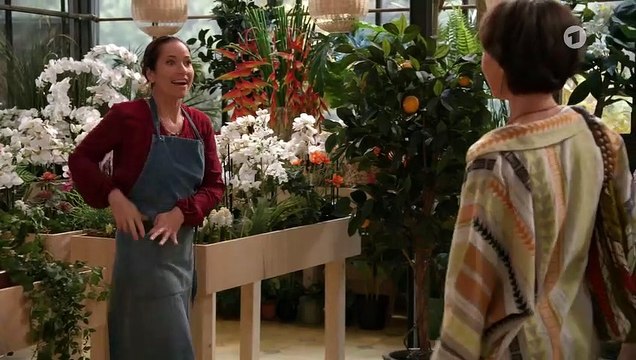 Rote Rosen 3701 folge