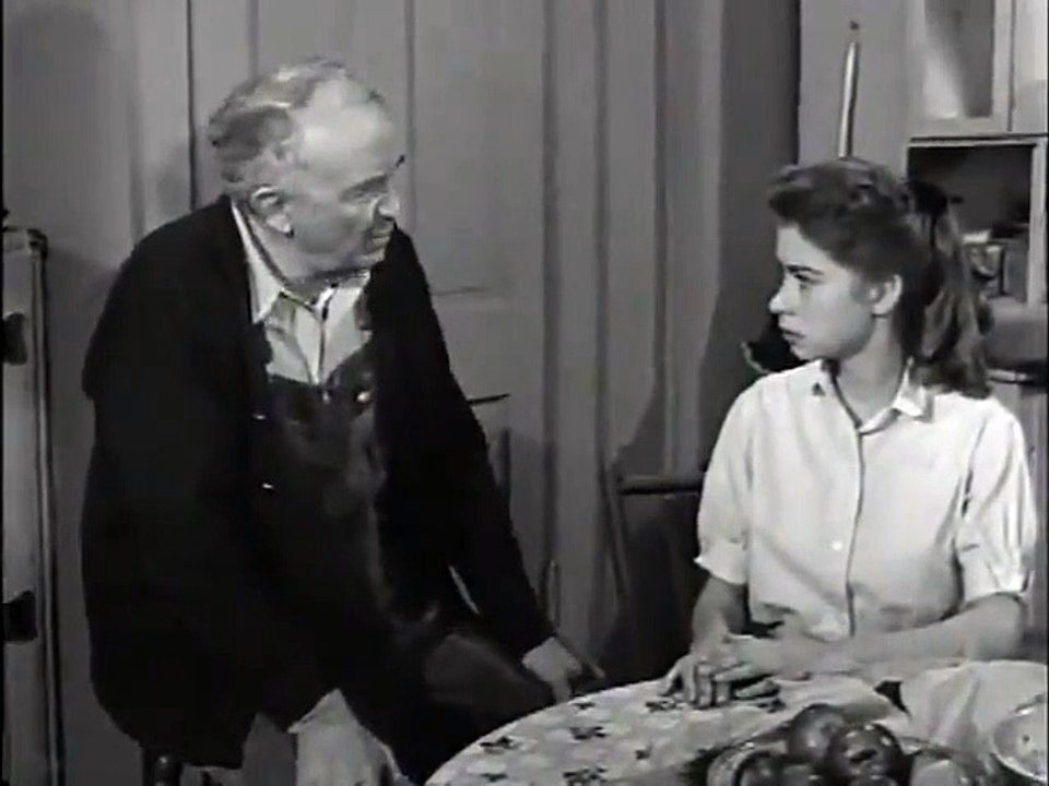 The Real McCoys - Se2 - Ep28 HD Watch