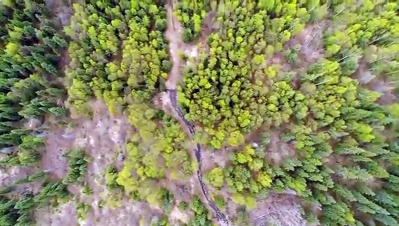 I Was Prey - Se2 - Ep08 - Dragged Below HD Watch