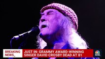 Pionnier du folk-rock, le chanteur Américain David Crosby, californien aux longs cheveux blancs, est mort à 81 ans cette nuit après une vie d'excès et de succès
