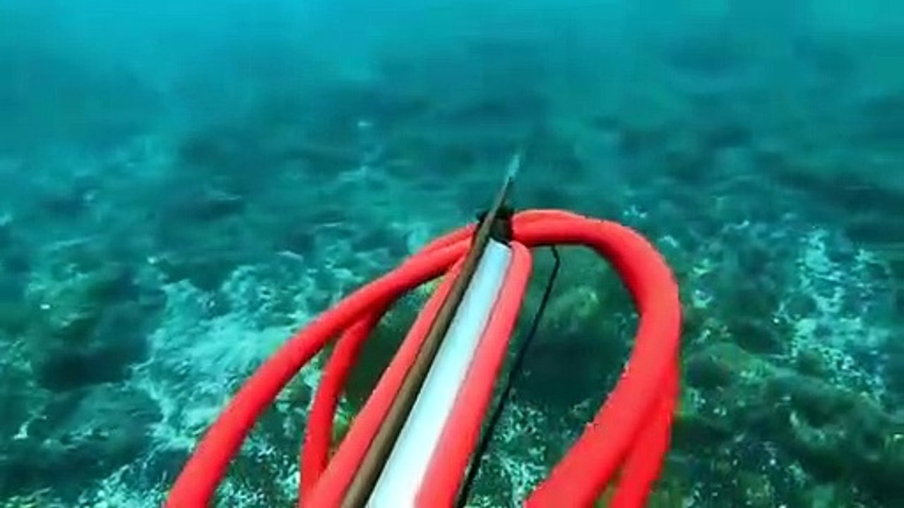 I Was Prey - Se3 - Ep0 - Shark Week HD Watch