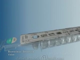 daniel armonia Demoreel-04_ vidas