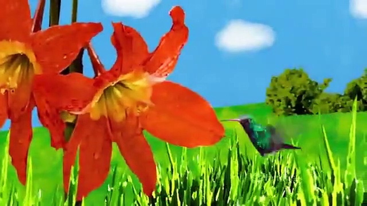 The Secret Life of the American Teenager - Se3 - Ep18 - Another Proposal HD Watch