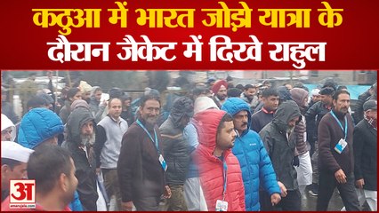 Download Video: Bharat Jodo Yatra: Kathuaa में Bharat Jodo Yatra के दौरान जैकेट पहने दिखे Rahul Gandhi