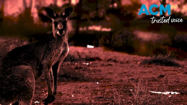 The mental health impact of climate disasters